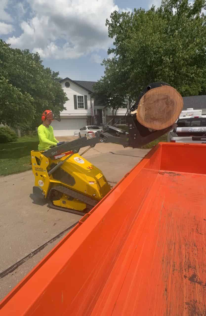 Tree Removal image