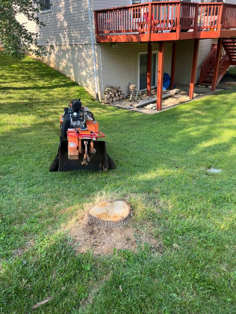 Stump Grinding image
