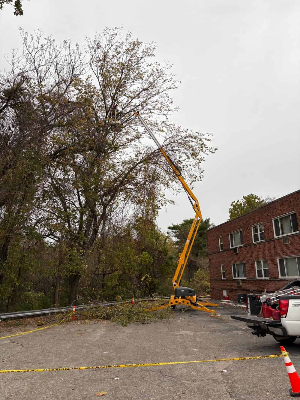 Emergency Tree Services image