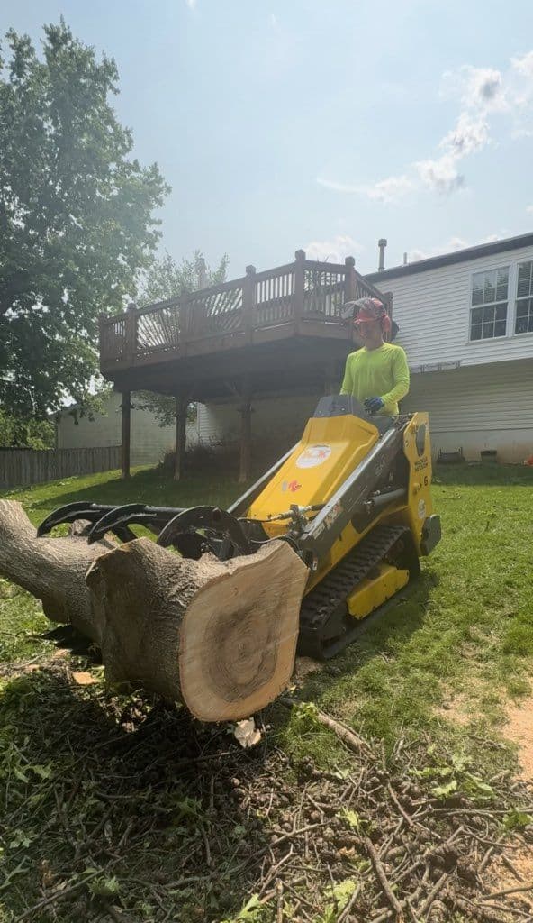 Man operating a stump grinder to remove a large tree stump in a backyard.