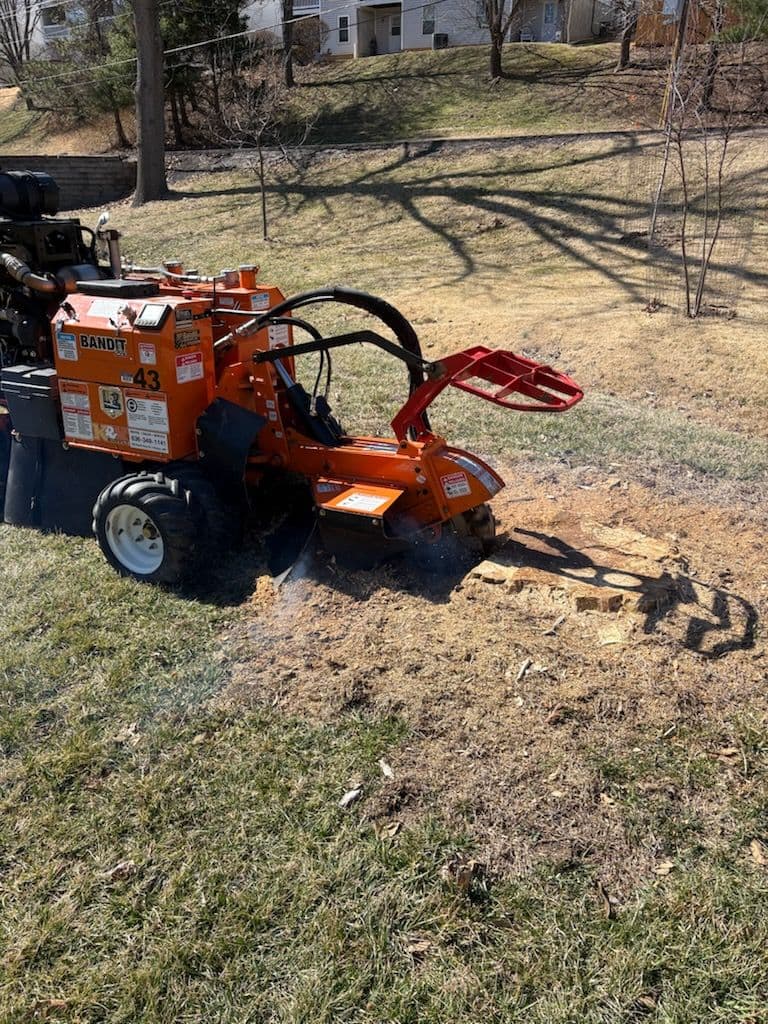 Project Efficient Stump Grinding in St. Louis image