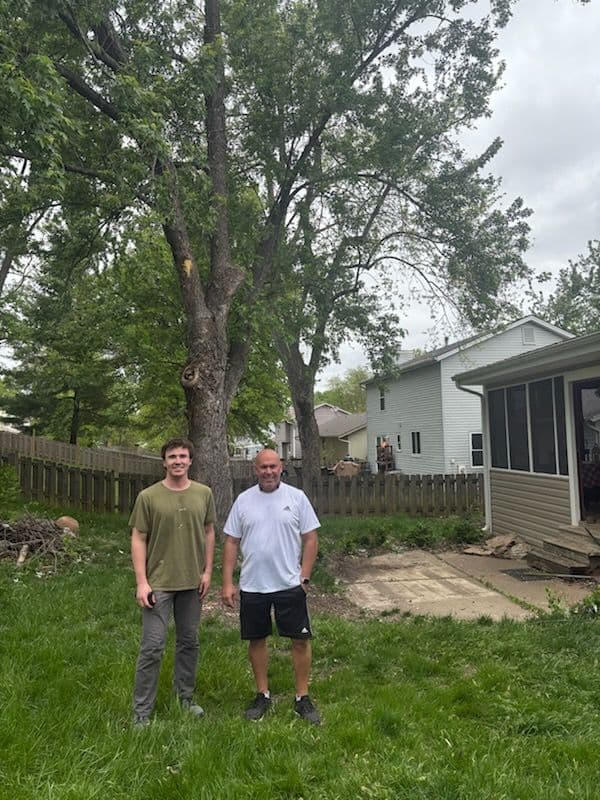 Tree Trimming Safety in St. Charles Yards