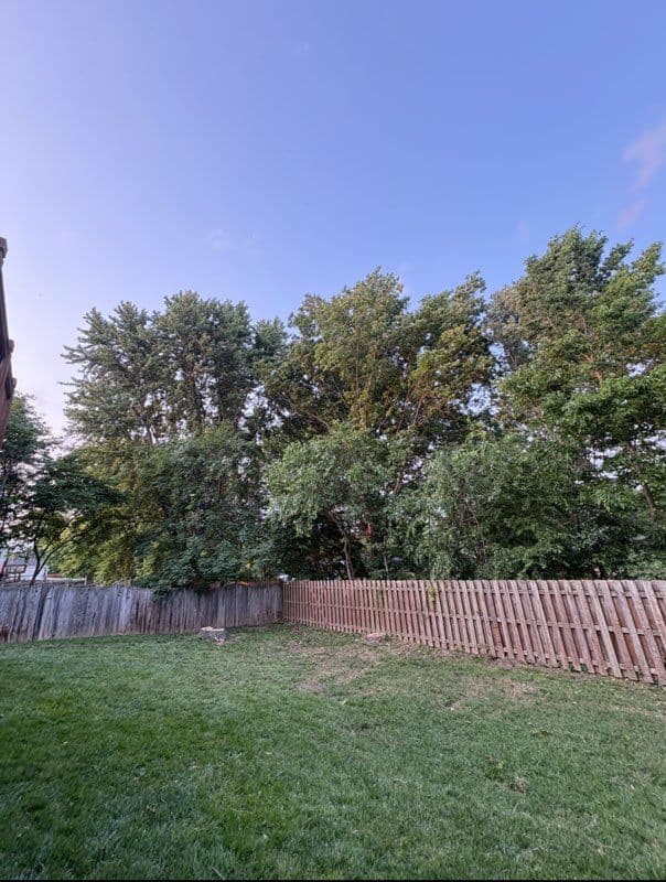 Project Expert Tree Removal for Spacious Backyard Retreat image
