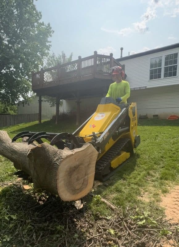 Expert Tree Removal for Spacious Backyard Retreat