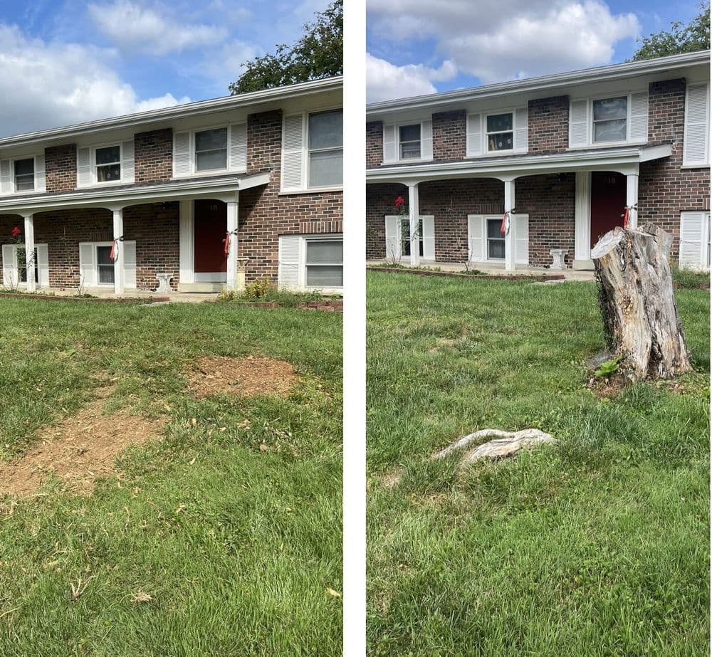 Before and after yard transformation showing removed stump and improved landscaping.