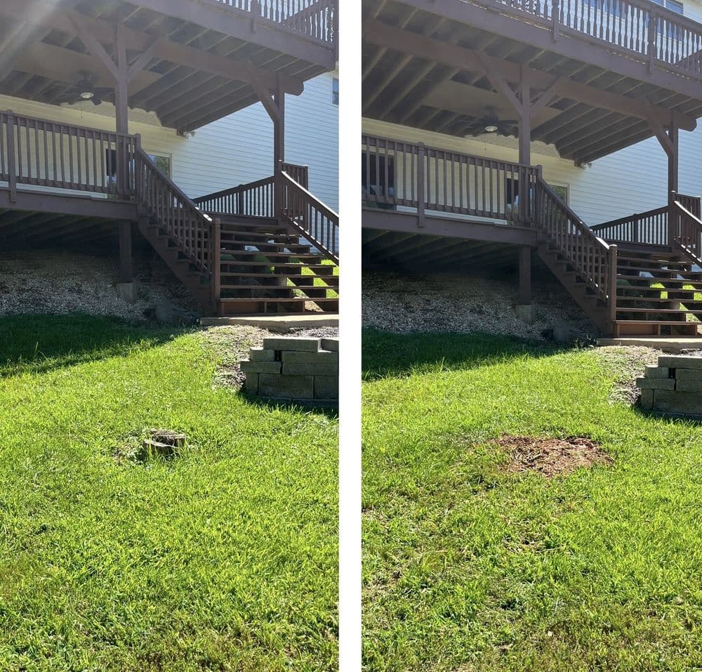 Before and after lawn transformation showing stairs and landscaping improvements under a deck.