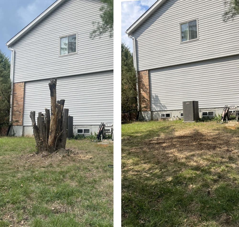 Before and after stump removal showing a cleared yard with grass and AC units visible.