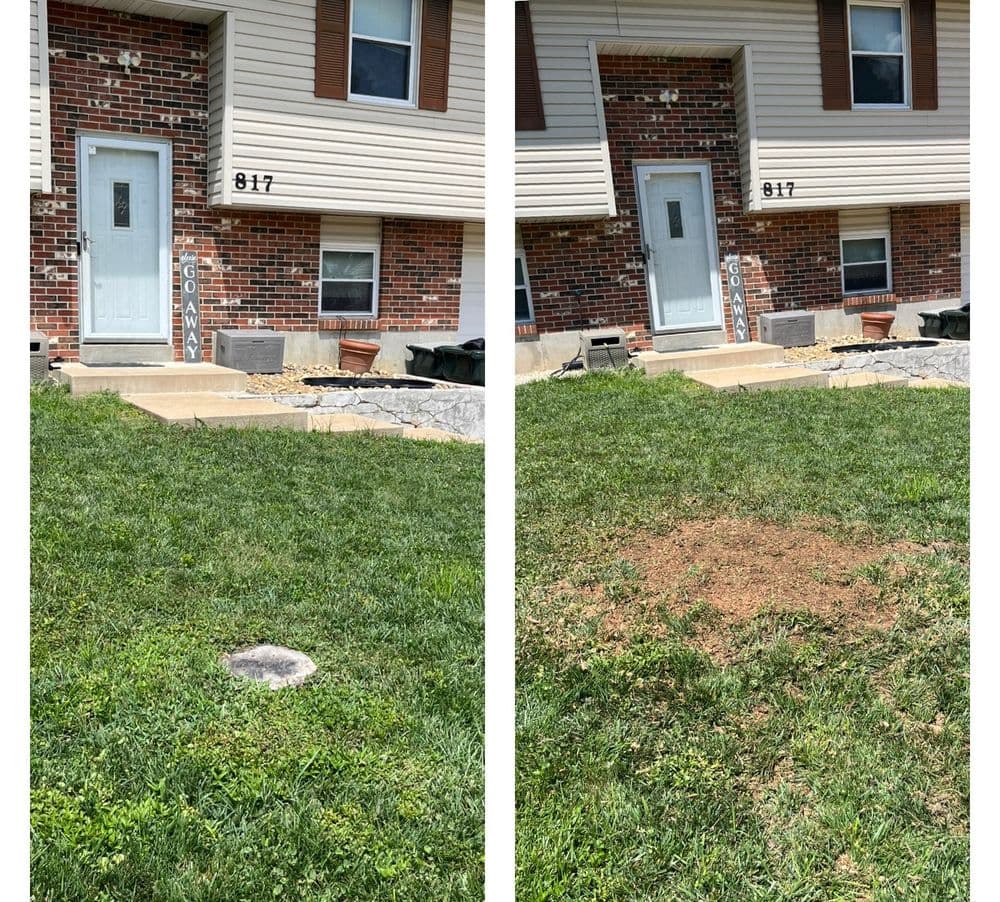 Before and after images showing lawn repair process at house number 817, highlighting grass restoration.