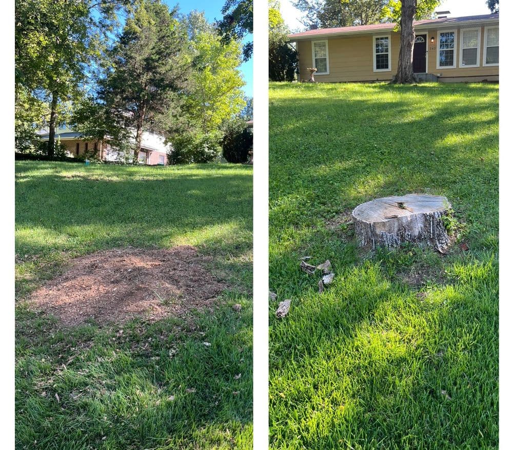Before and after tree removal, showing stump and cleared area on a grassy lawn.