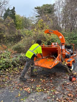 Eco-Friendly Tree Care Solutions's image
