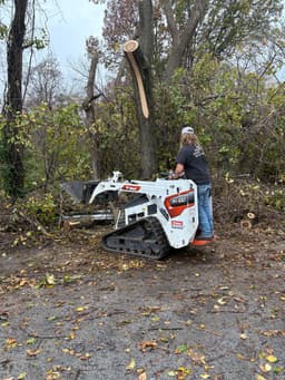 Certified Arborist Excellence's image