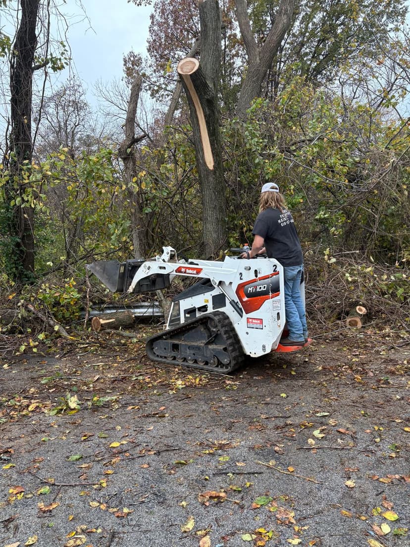 Certified Arborist Excellence's image