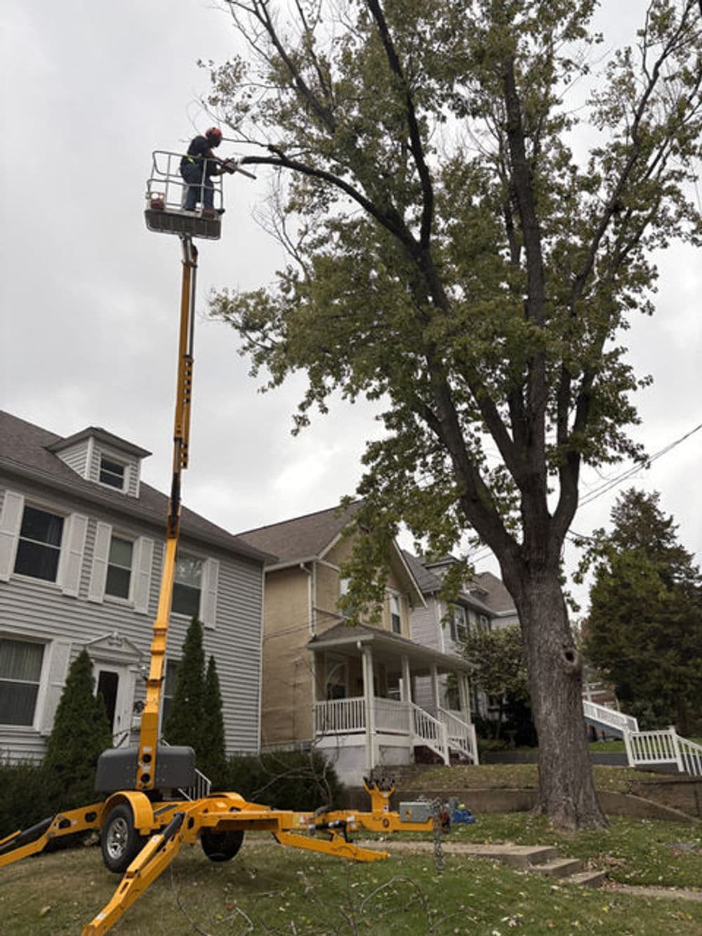 Tree trimming service using a lift on a residential street with houses in the background.